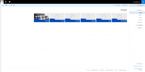 כך נראה שירות האינטרנט של -OneDrive