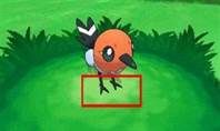 Fletchling