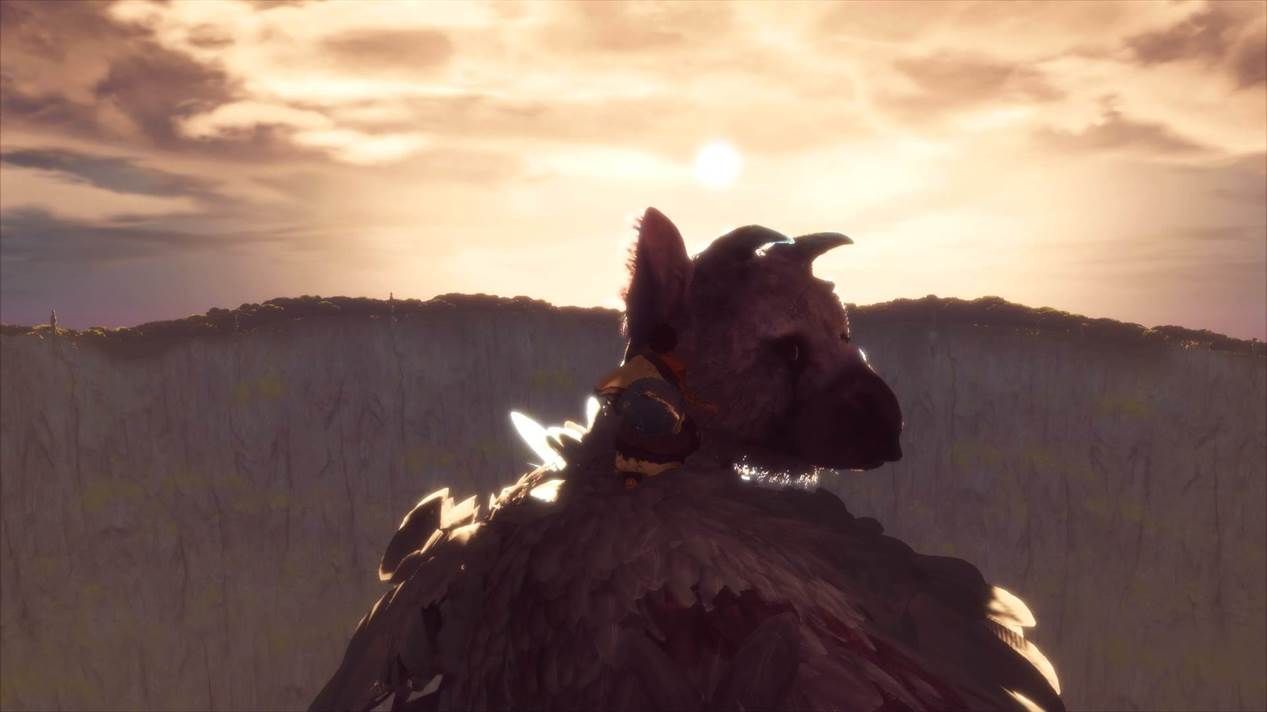 the last guardian