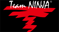 Ninja Gaiden