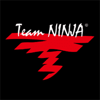 Ninja Gaiden