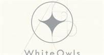 white owls studio