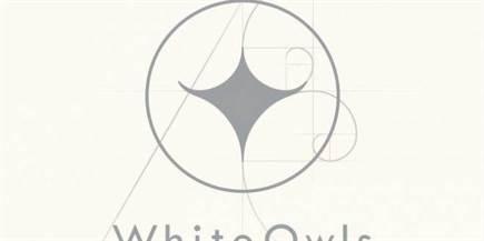 white owls studio