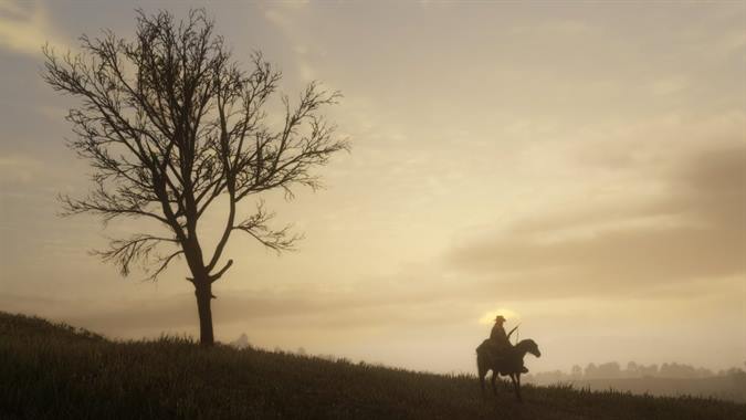 Red Dead Redemption 2 (1)